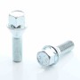 mini: Set of 10 HEX17 tapered bolt M14x1,5 x40mm Silver (1)