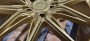 mini: Set of JR44 20x8 ET20 + 20x9,5 ET28 5x112 Matt Gold (2)